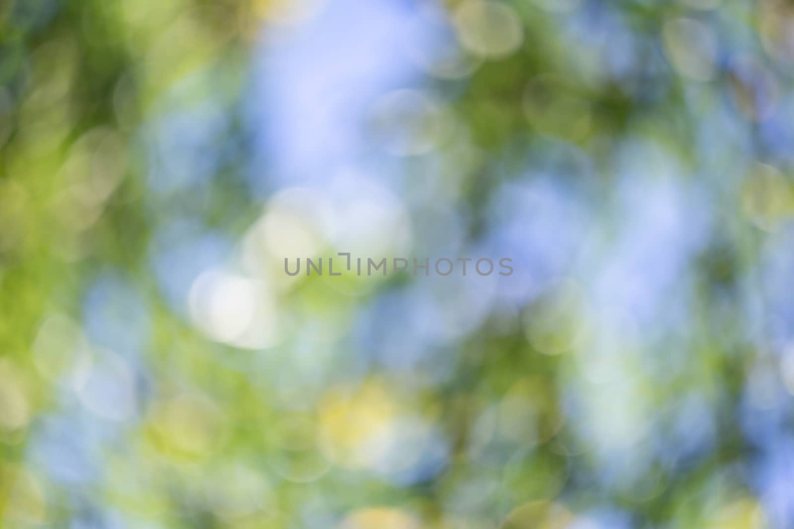 Abstract blurred green nature background. by sveter