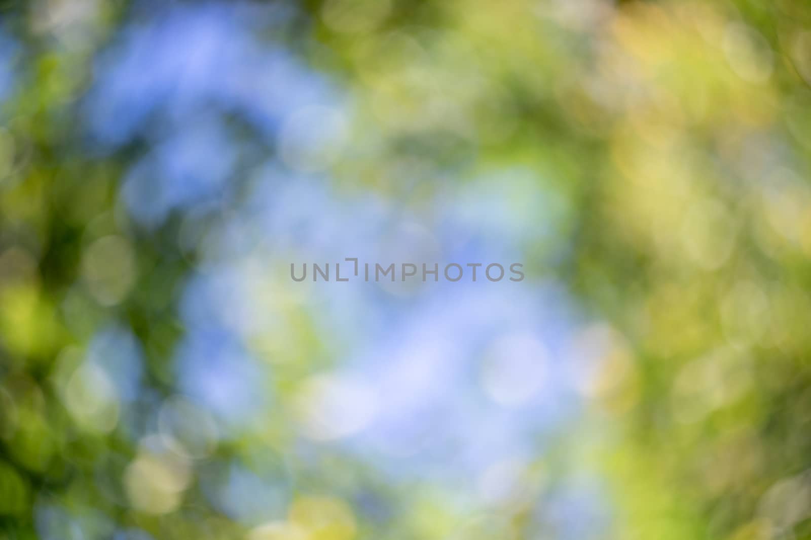 Abstract blurred green nature background. by sveter