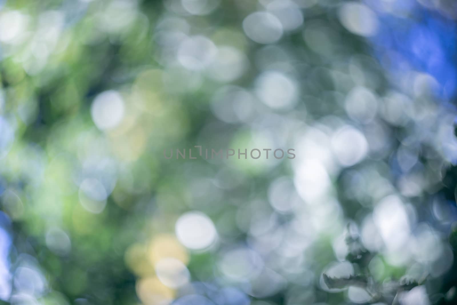 Abstract blurred green nature background. blurry backdrop for design element template