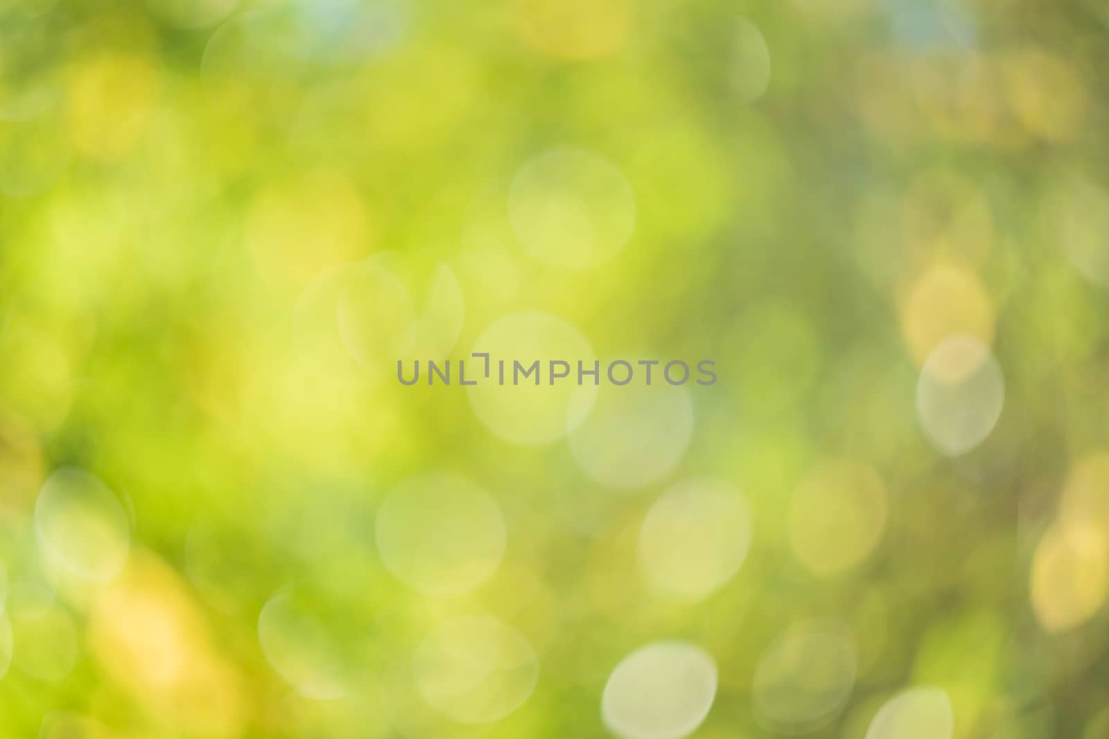 Abstract blurred green nature background. by sveter