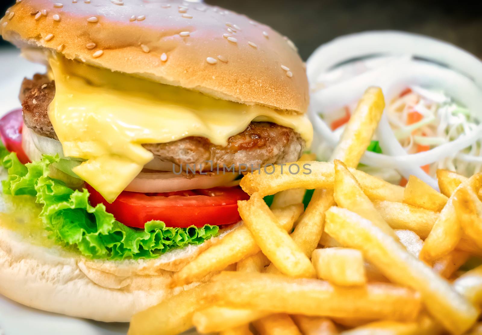 Delicious Homemade Cheeseburger with French Fries and Onion Salad
