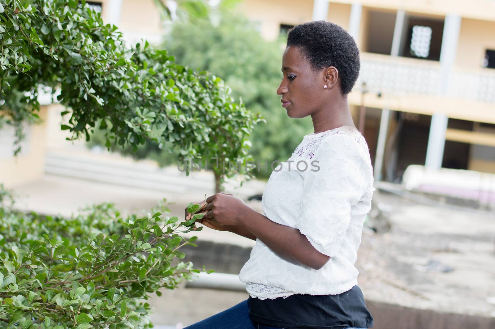 young woman playing with the leaves of the tree height.