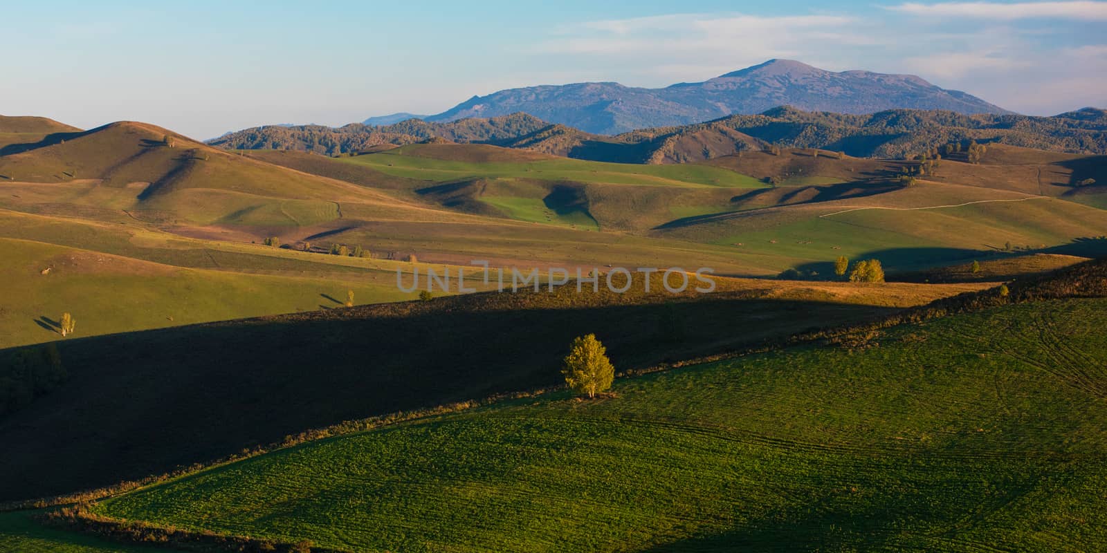 Beauty summer evening in the mountains in Altay, panoramic picture