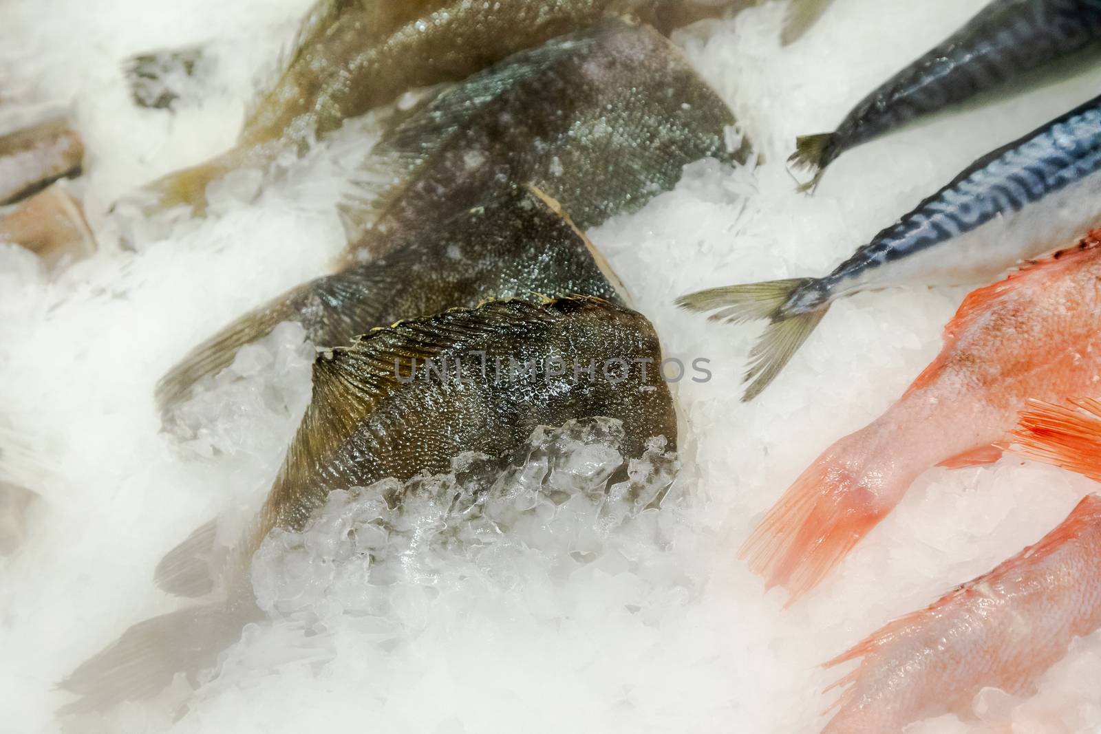 fish for sale on ice in supermarket