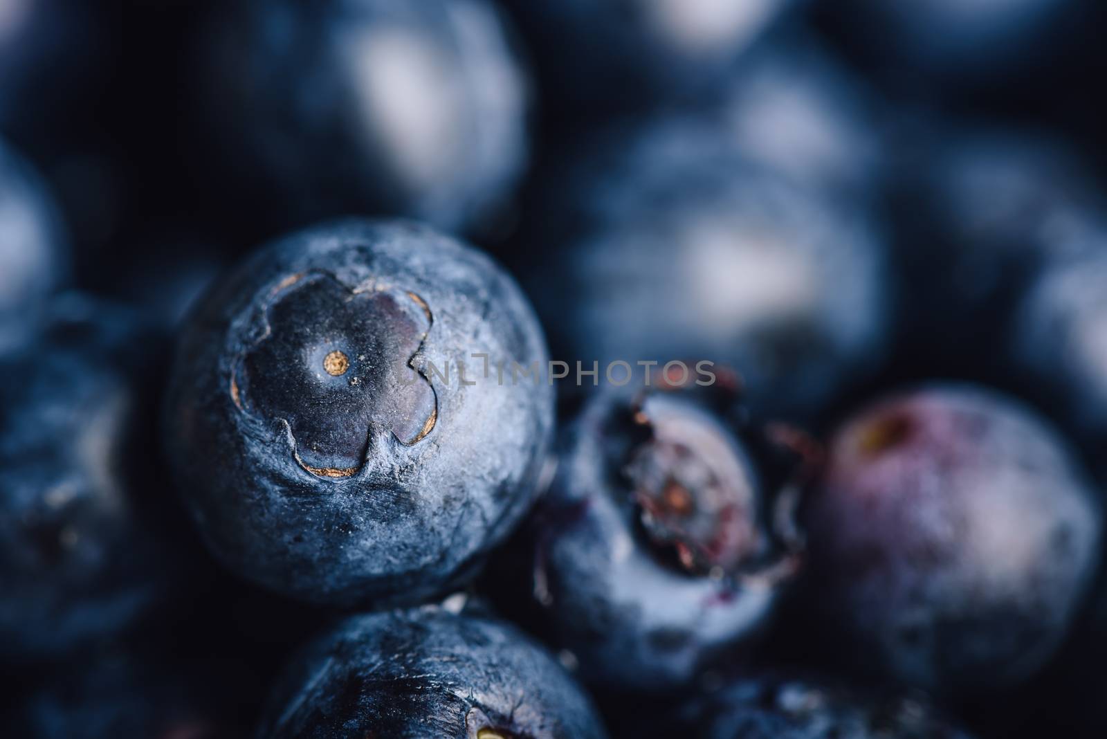 Blueberry Background. Focus on One Berry and Other Berries are Blurred.