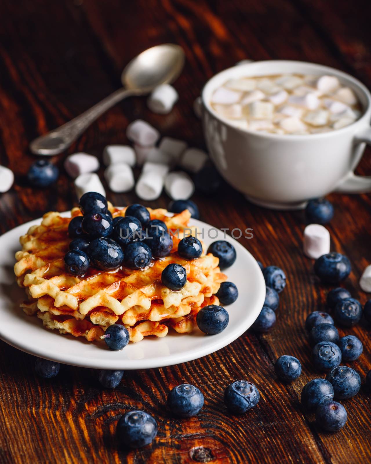 Waffles with Fresh Blueberry and Honey on Plate, Cup of Cocoa with Marshmallow.Vertical Orientation.