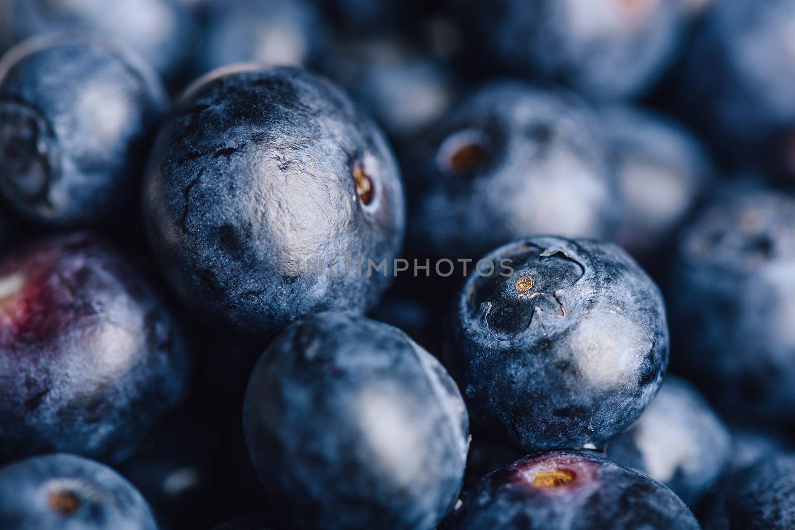 Ripe Blueberry Close Up Background. Horizontal Orientation.