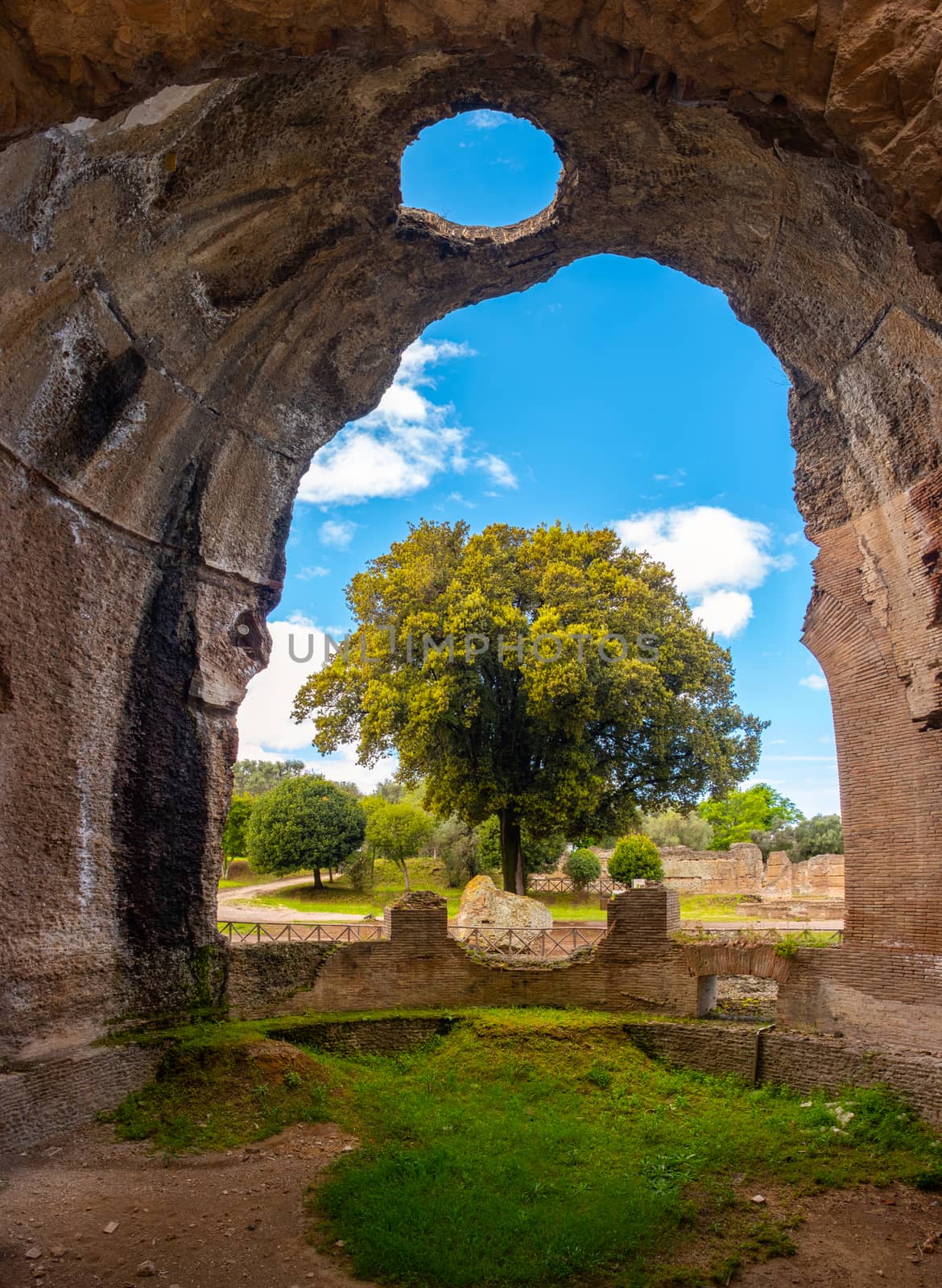 Villa Adriana - Rome Tivoli - Italy -  large tree seen through  large chasm on walls of ancient Roman palace with  circle-shaped hole on ceiling .