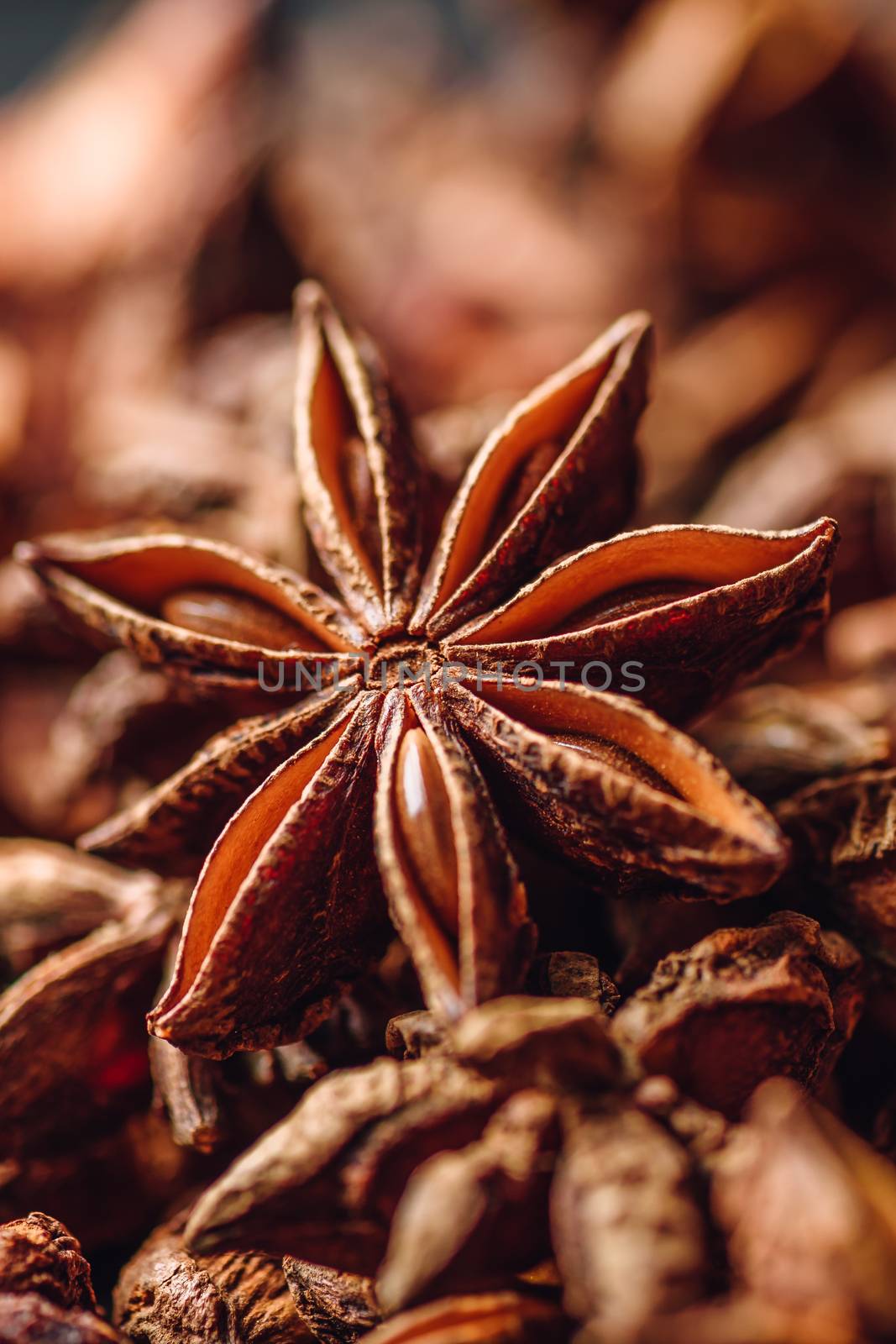Background of Star Anise Fruits and Seeds. Vertical Orientation.
