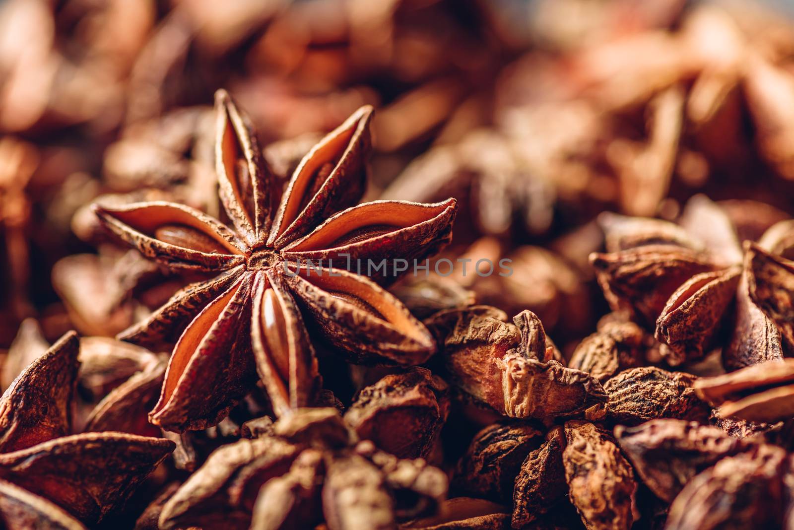 Background of Star Anise Fruits and Seeds.