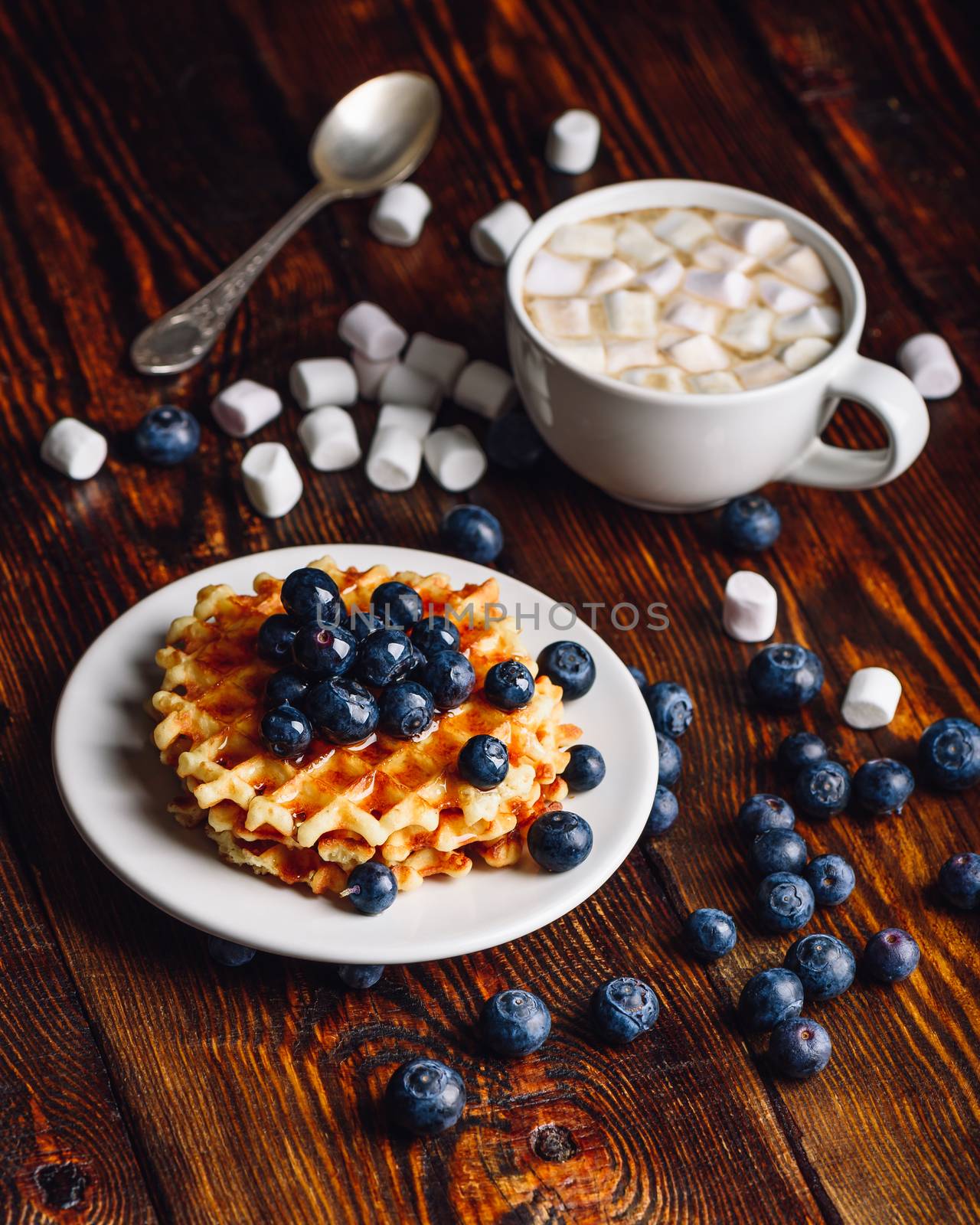 Waffles with Blueberry and Cup of Coffee. by Seva_blsv