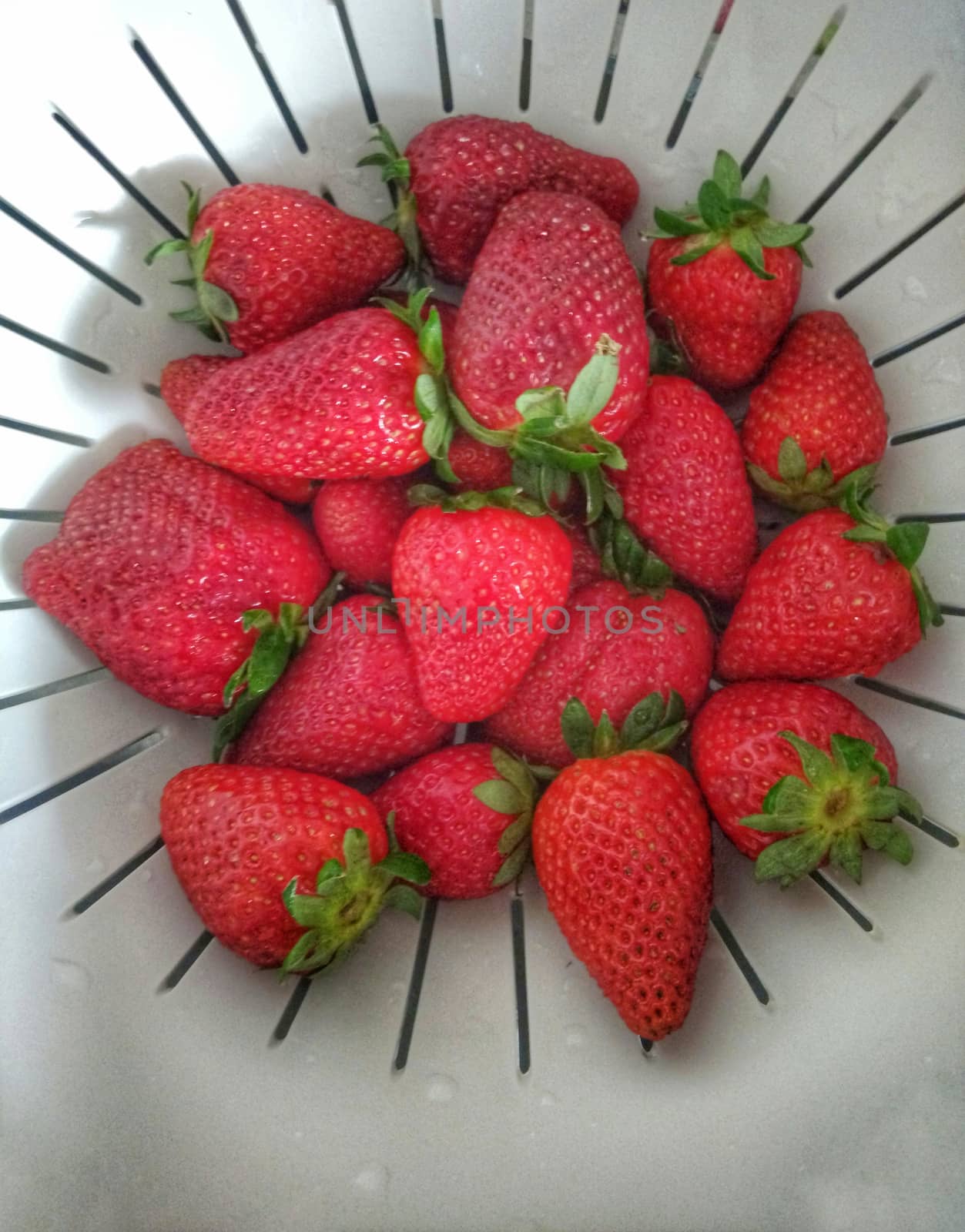 A moltitude of strawberries ready to be washed under the water.