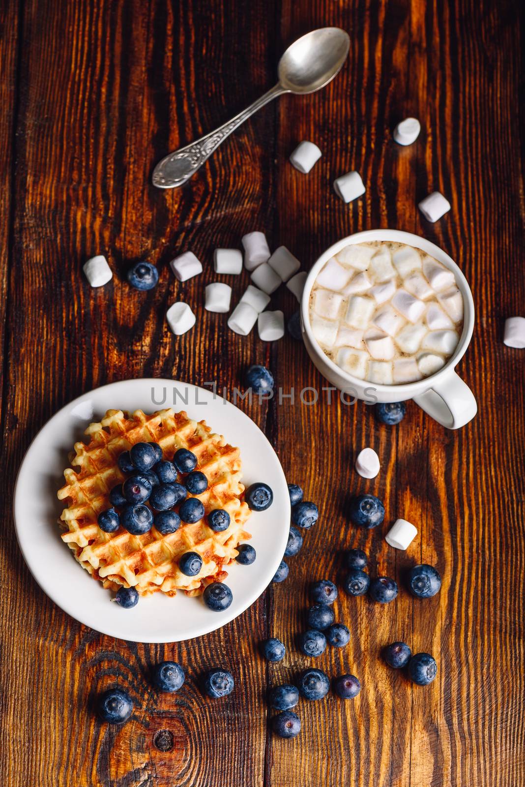 Waffles with Blueberry and Cup of Hot Chocolate. by Seva_blsv