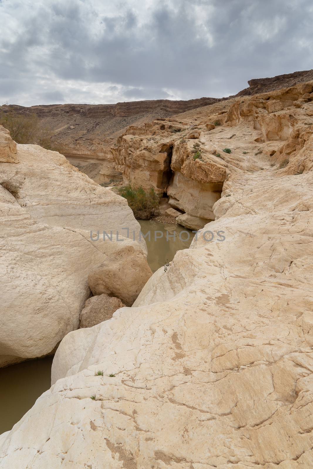 Trekking in winter desert of Israel tourism by javax