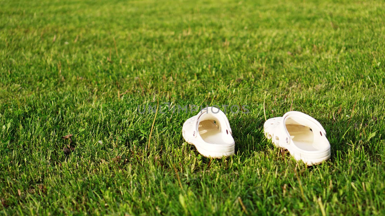 Pair of white flipflops in grass background by natali_brill