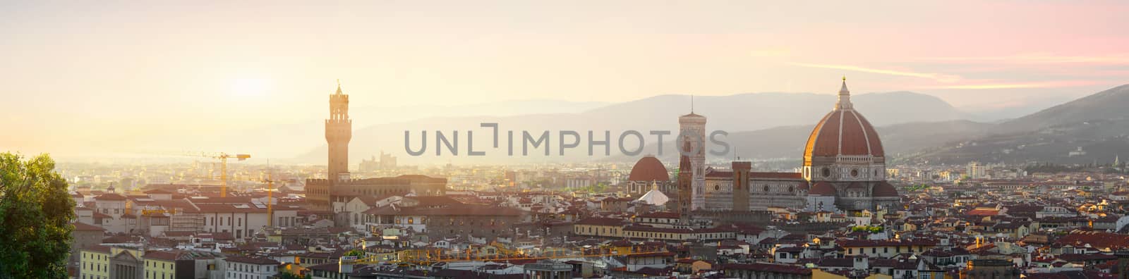 Florence panoramic view by Givaga