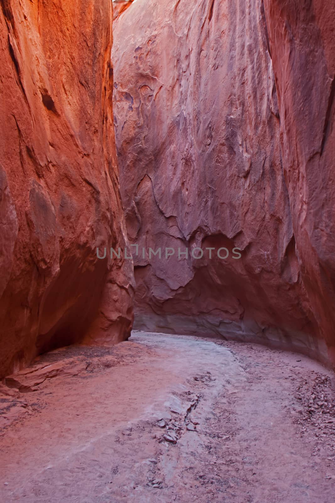 The Dryfork slot canyon is one of several slot canyons in the vicinity of Escalante. UT.