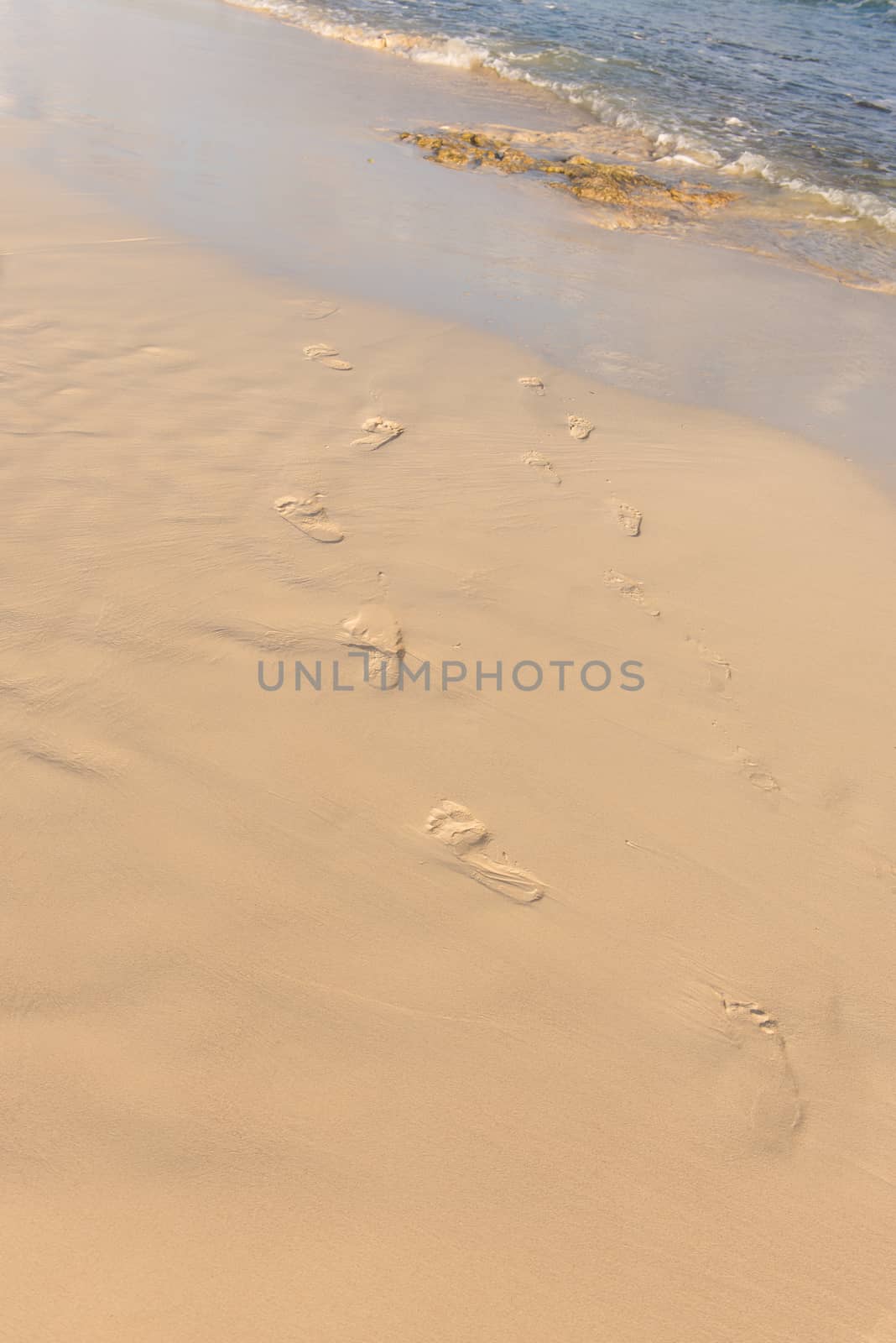 Footsteps in the Wet Sand by viscorp