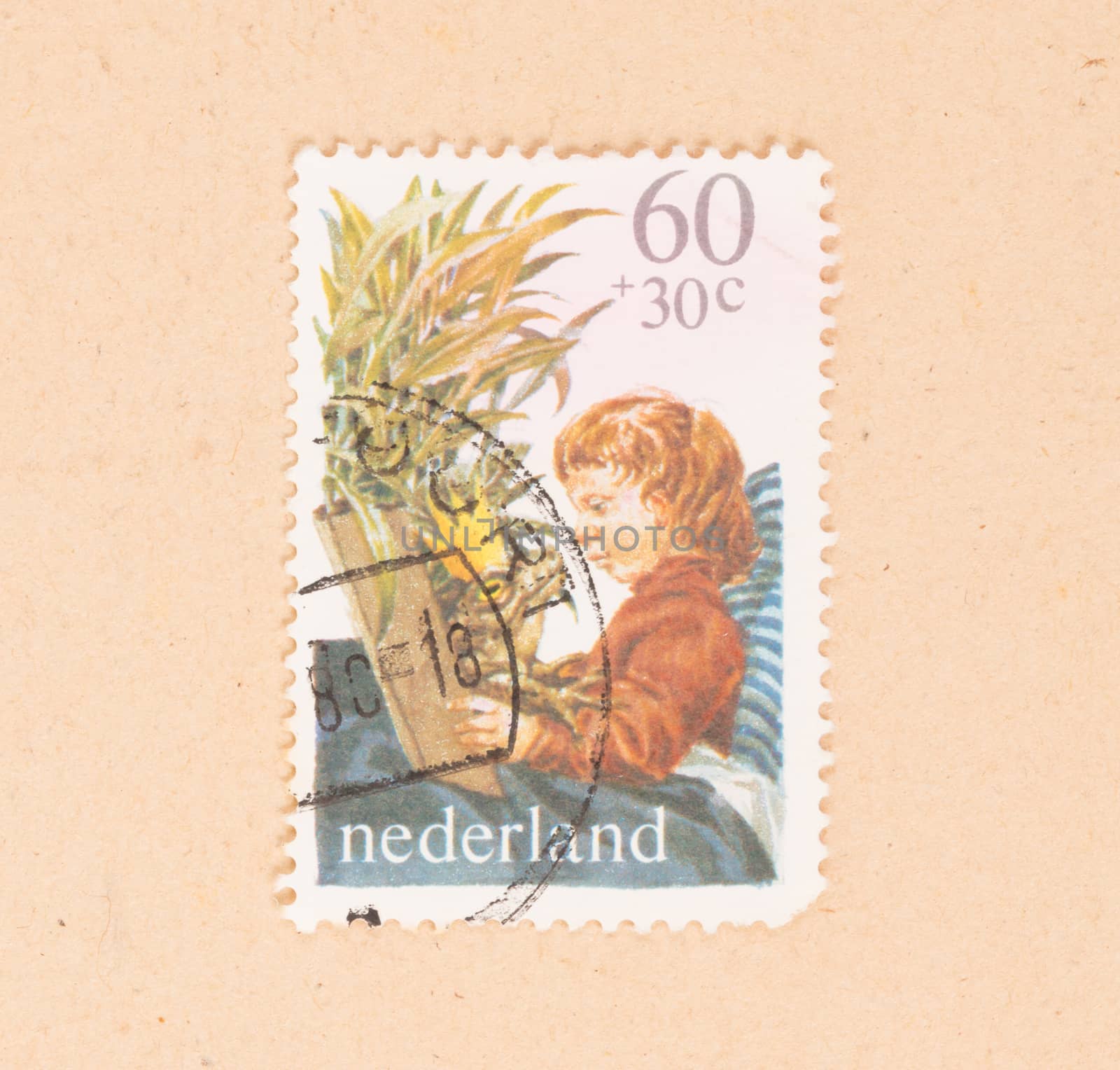 THE NETHERLANDS 1980: A stamp printed in the Netherlands shows a by michaklootwijk