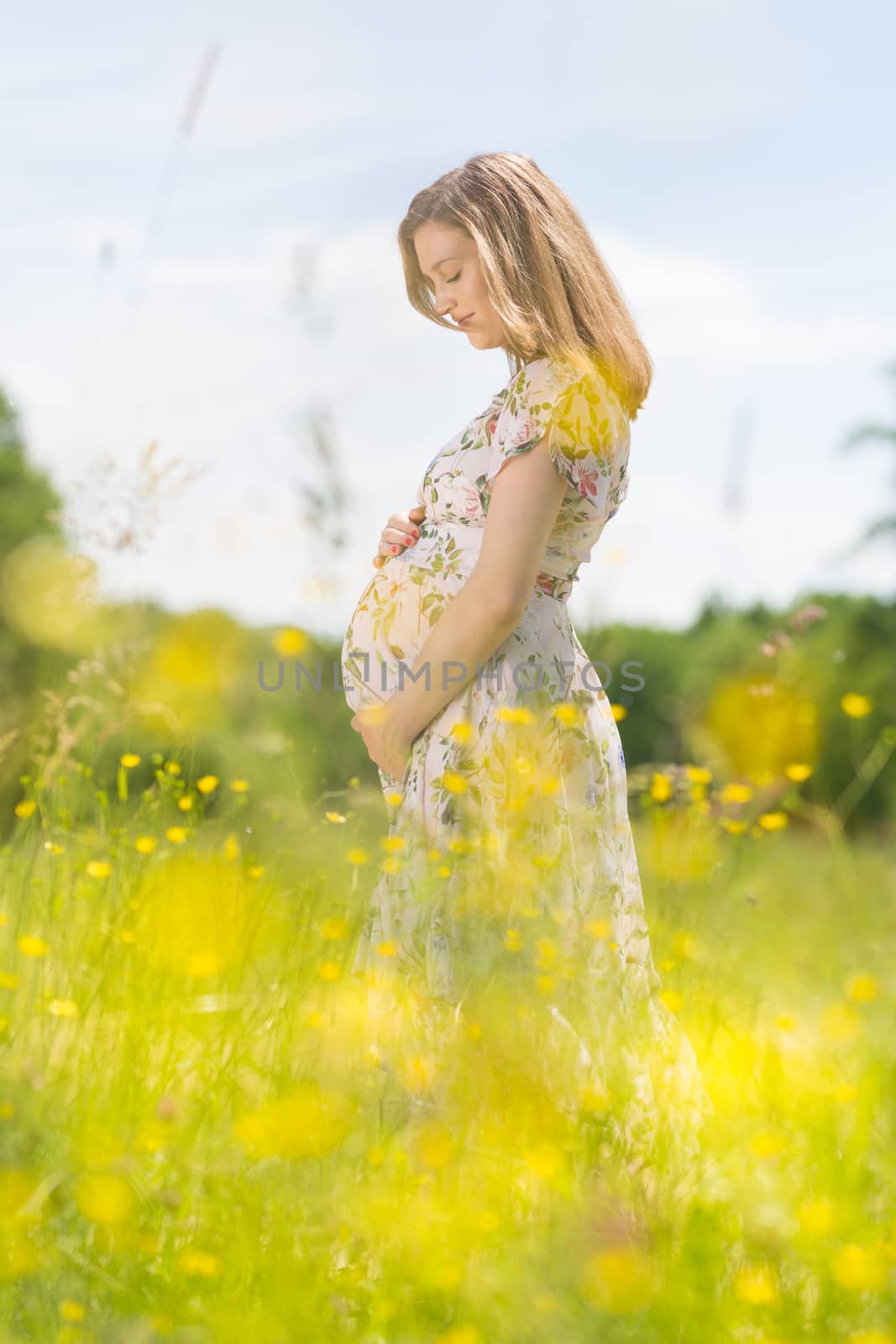 Portrait of beautiful pregnant woman in white summer dress relaxing in meadow full of yellow blooming flowers. Concept of healthy maternity care.