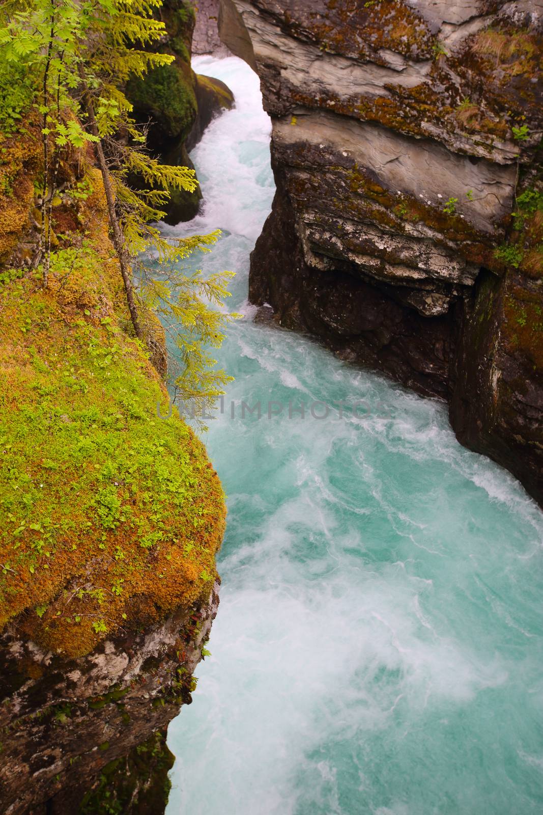 Beautigul powerful Glacial river in summer,  Norway