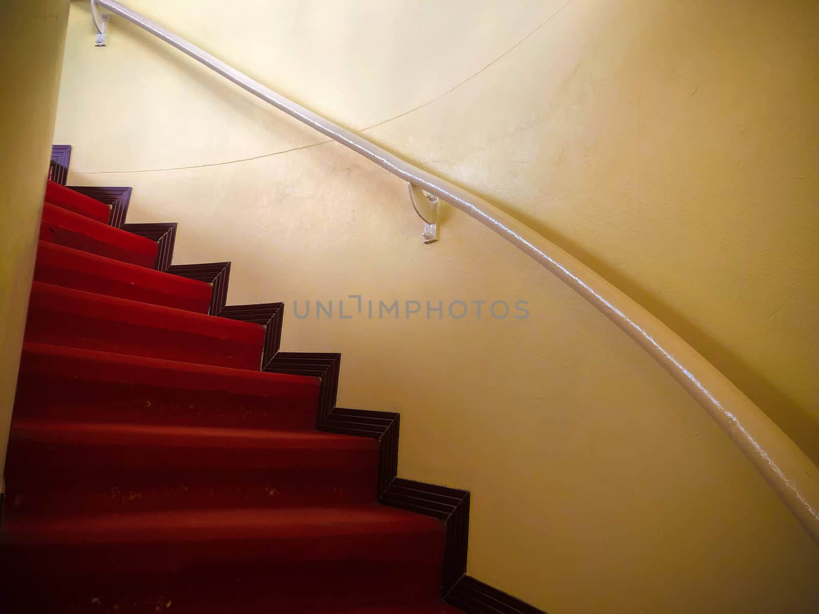 Red carpet on the White stairs in a interior