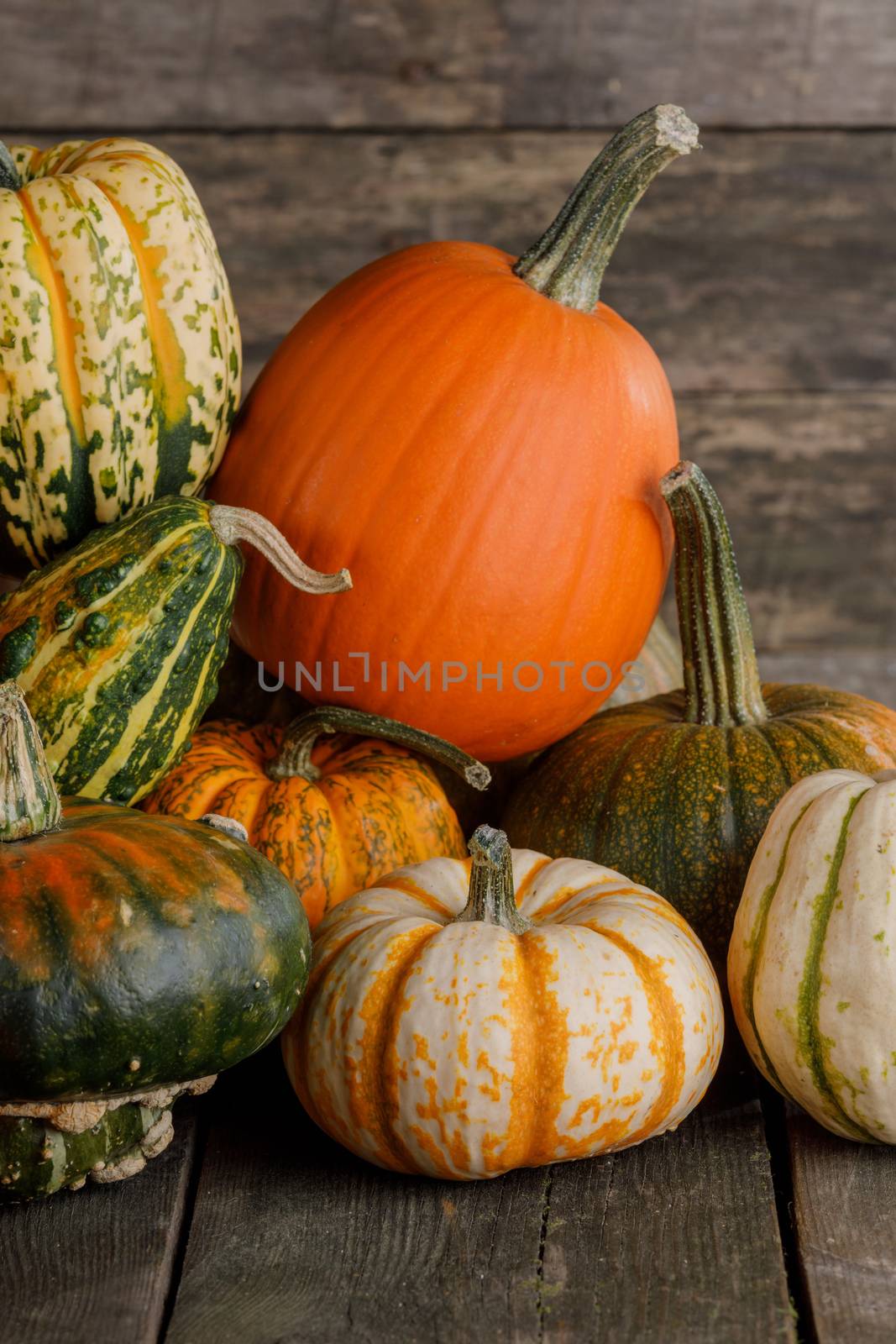 Pumpkins on wooden background by Yellowj