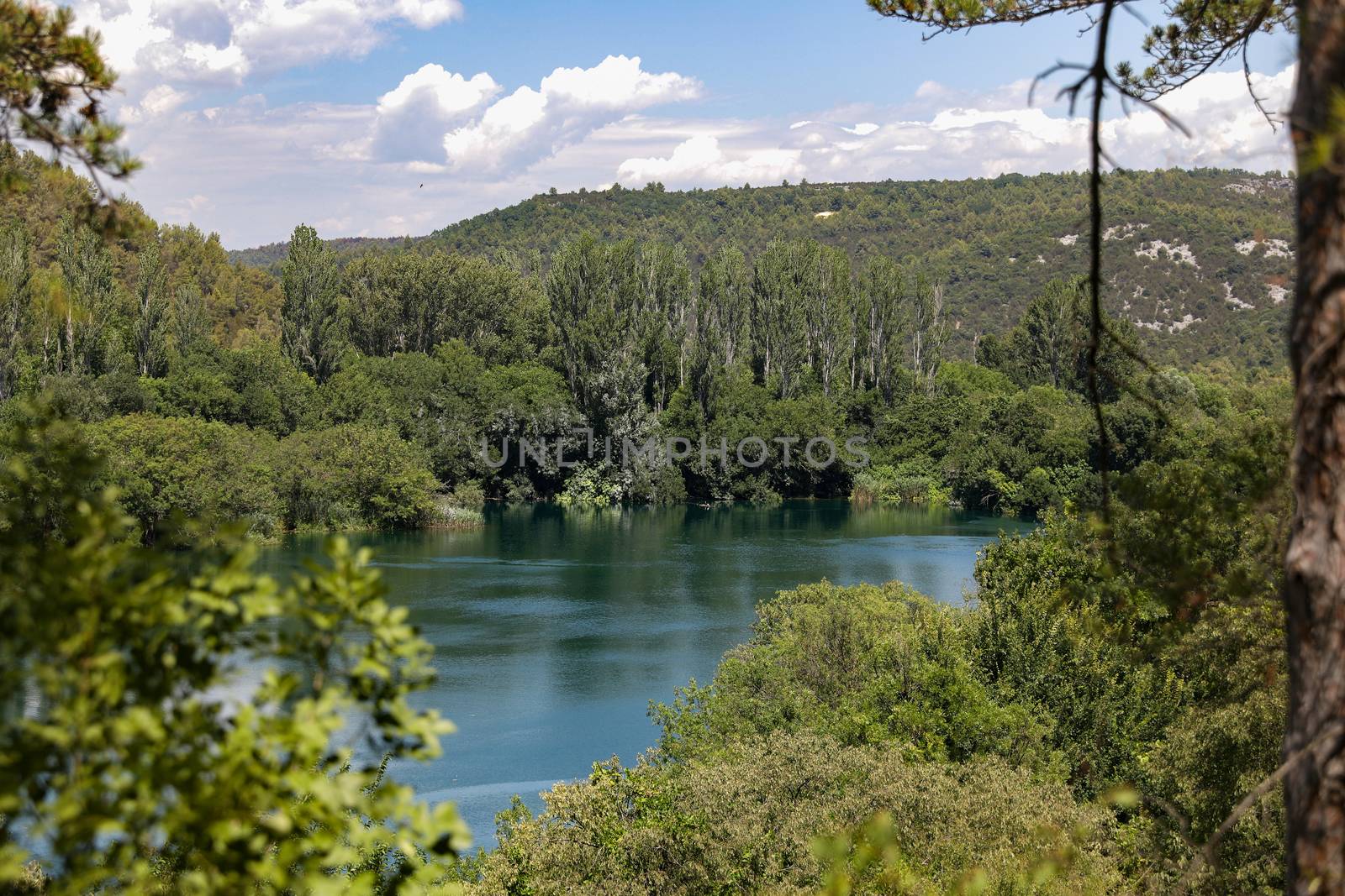 Walking in the national park makes you feel closer to the nature