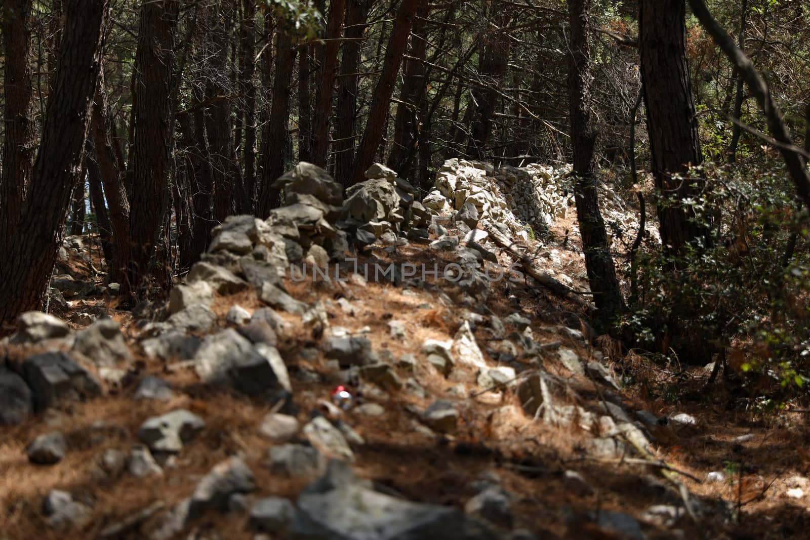 Ridge of stones somewhere in the forests of Croatia