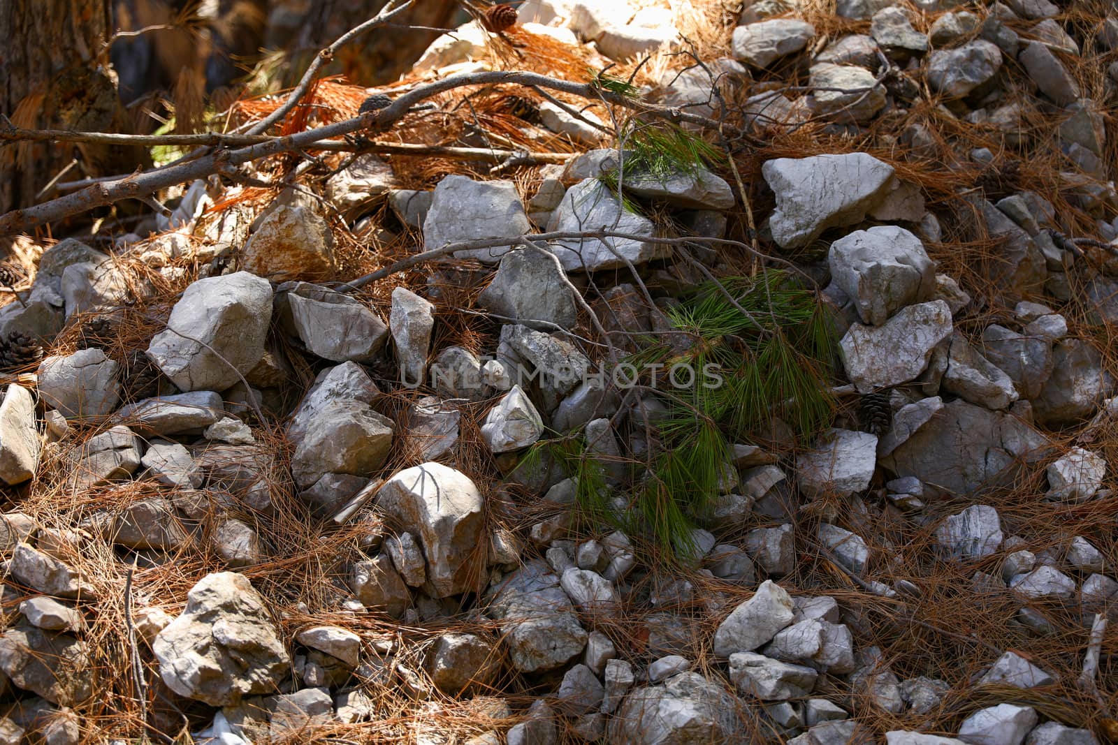 Ridge of stones somewhere in the forests of Croatia