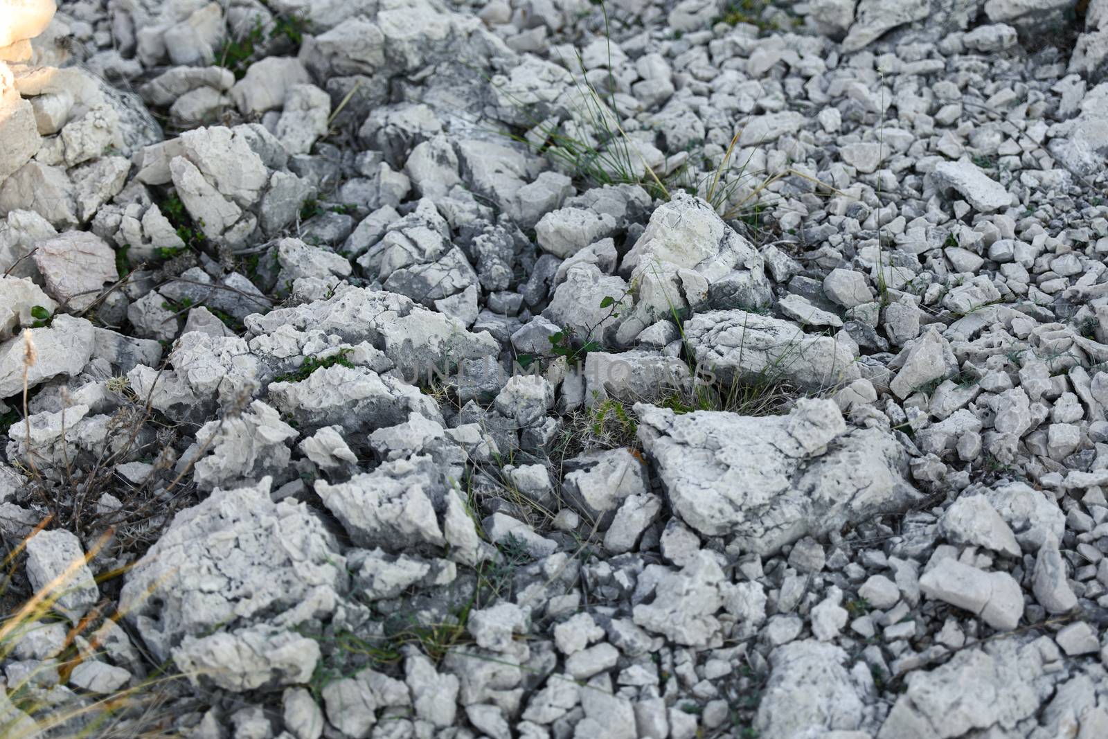 Just grass between stones on the ground