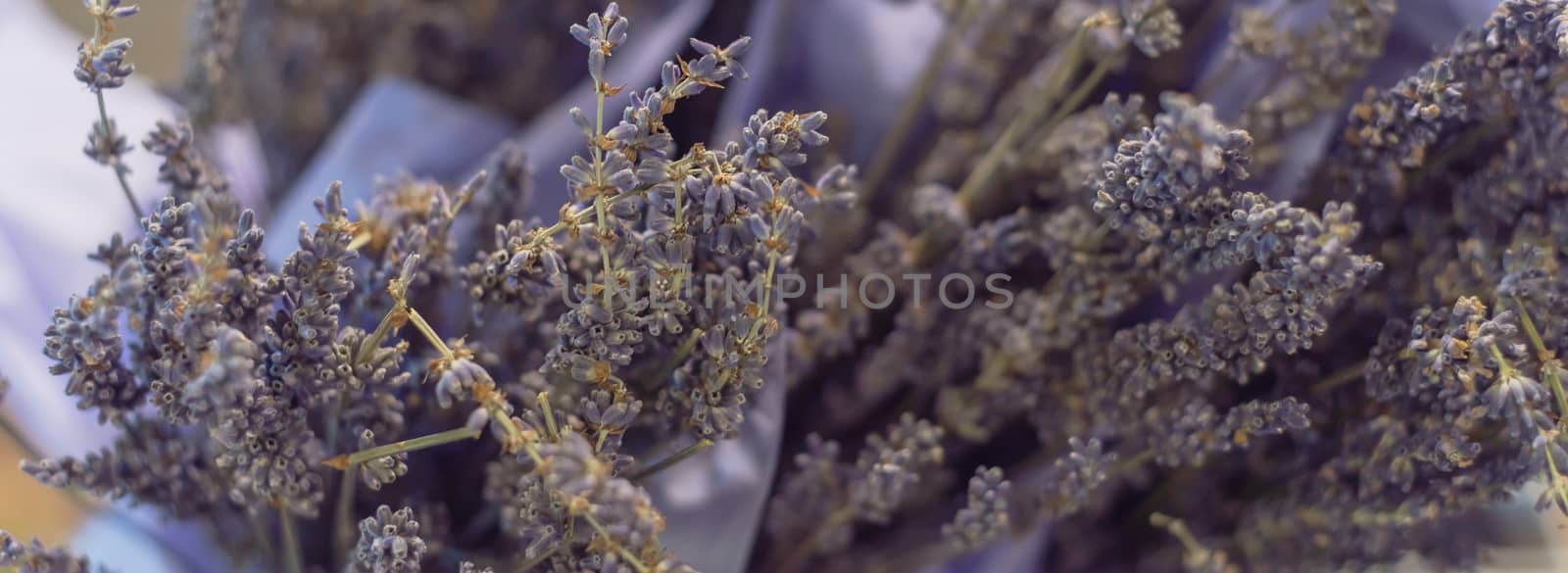 Filtered image lavender bouquet in paper wrap at local shop in Texas, USA by trongnguyen