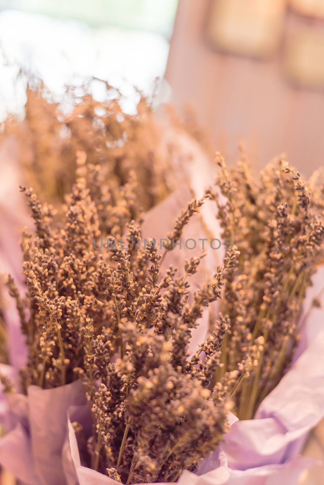 Dried lavender bouquet at local shop in Gainesville, Texas, America. Romantic flower in paper wrapper