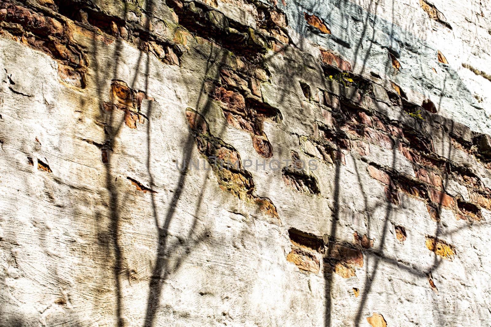 Old building wall with pale colors and shadows.