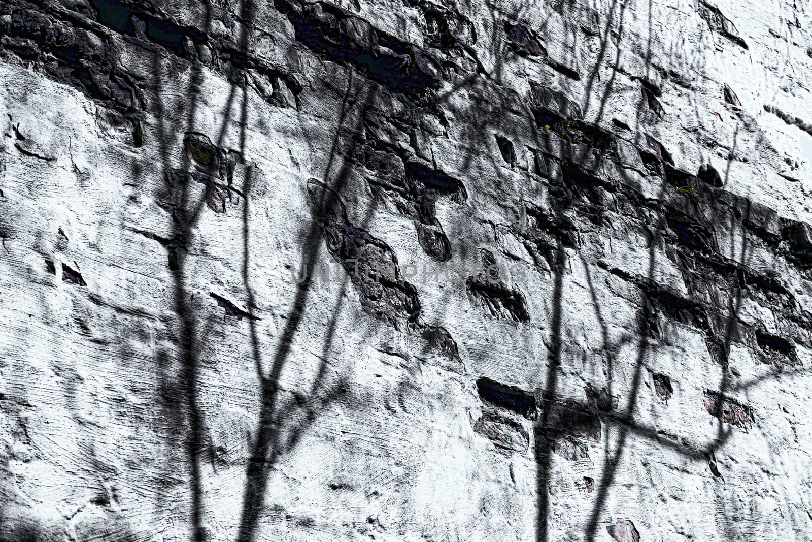 Old building wall with missing plaster and tree shadows, in monochrome.