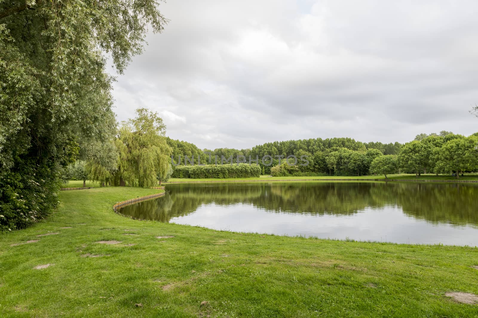 big garden in a park in holland with green trees and small pond 