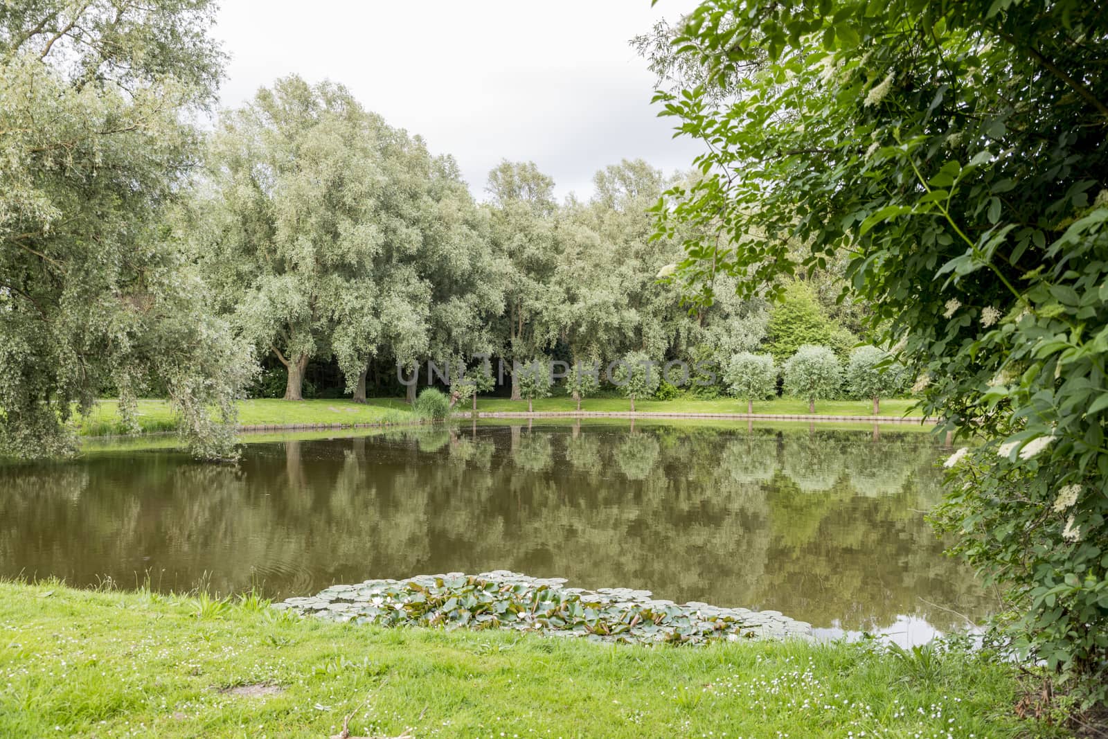 big garden in a park in holland with green trees and small pond 