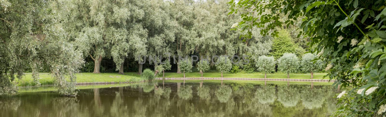 big garden in a park in holland with green trees and small pond 