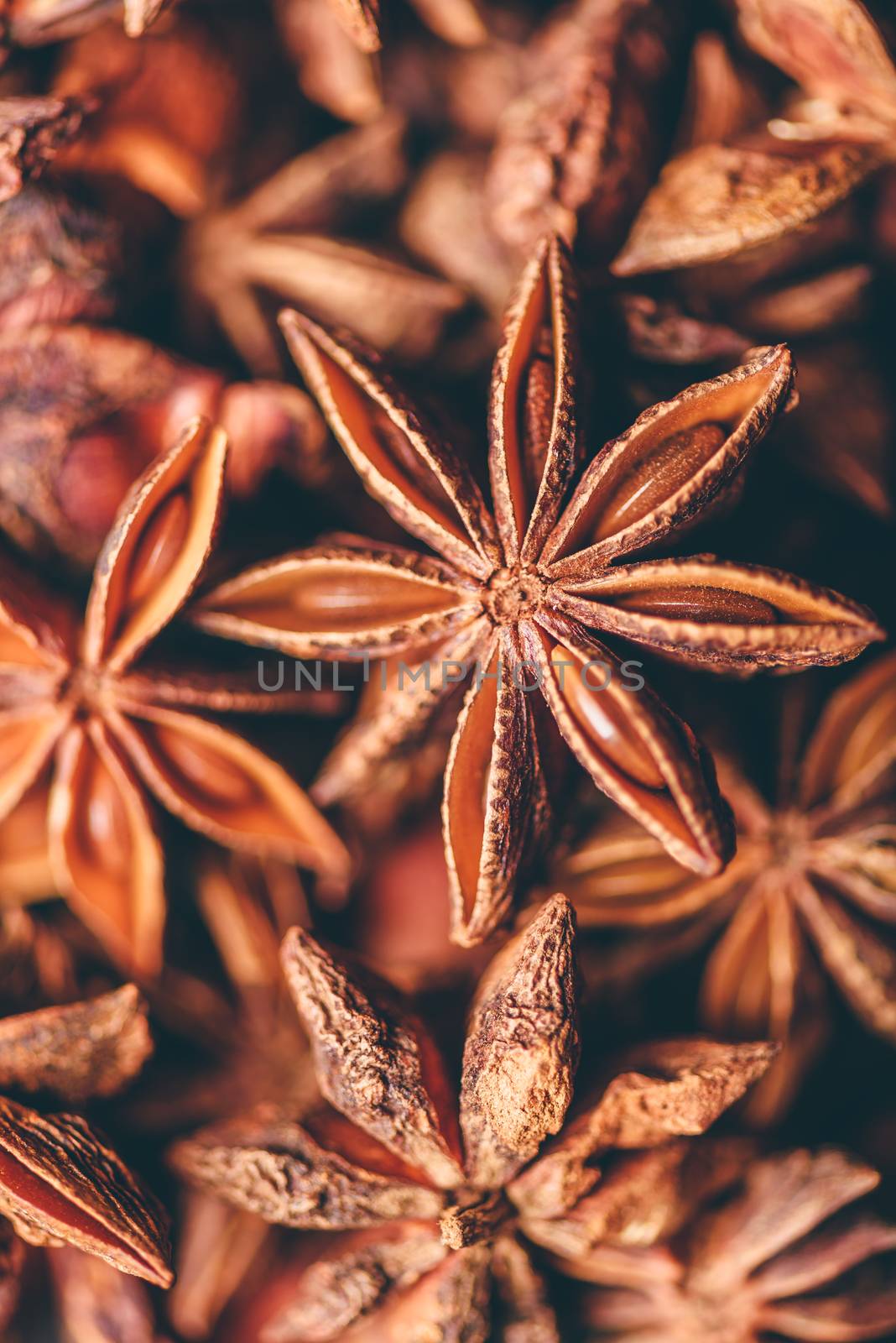 Backdrop of Star Anise Fruits and Seeds. Vertical Orientation.