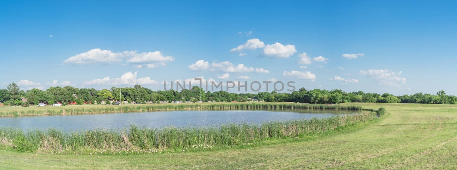 Panoramic hillside lake park with reeds and wildflowers blooming near Dallas, Texas by trongnguyen