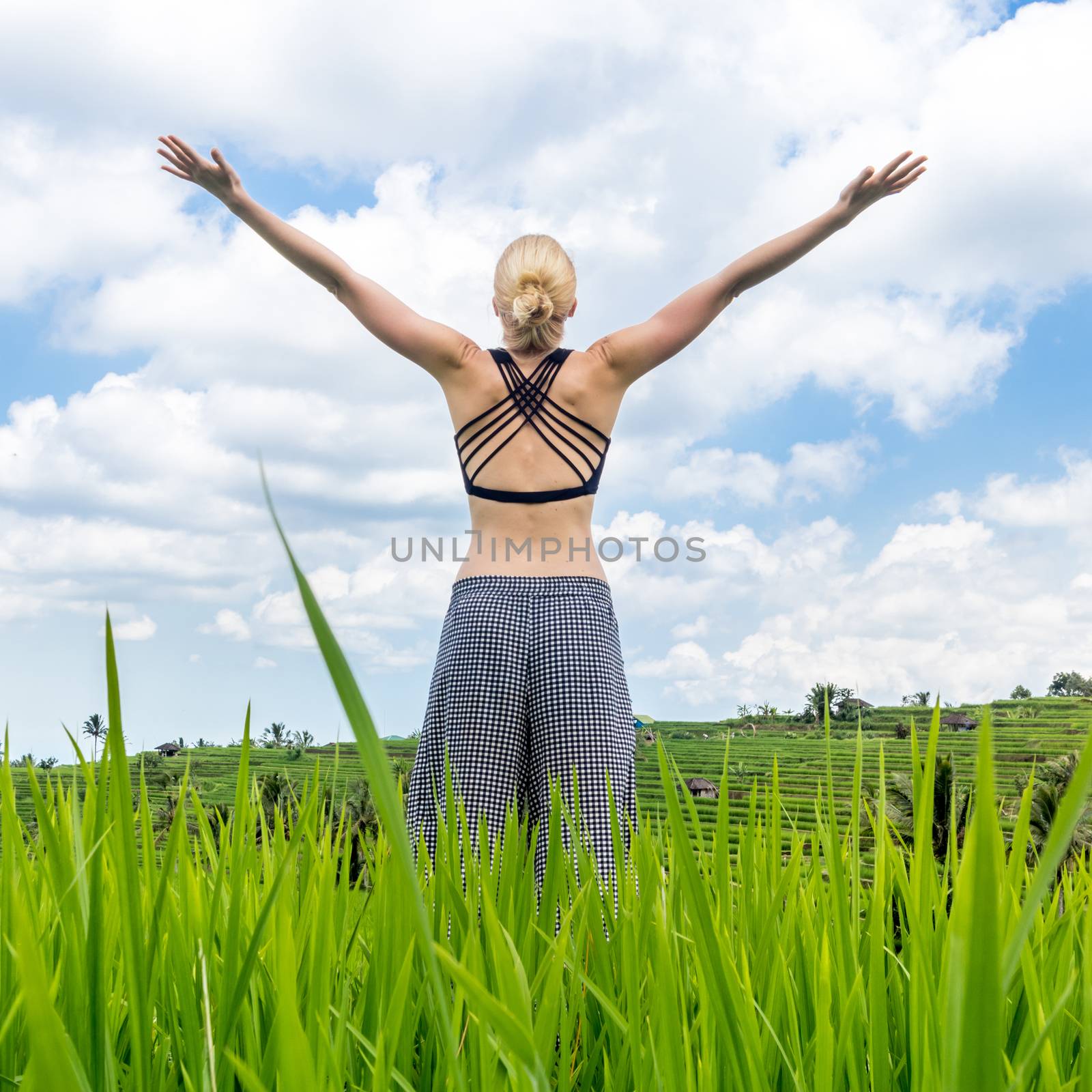 Relaxed woman, arms rised, enjoying pure nature at beautiful green rice fields on Bali. Concept of nature enjoyment, balanced life, freedom, vacations, happiness, and well being.