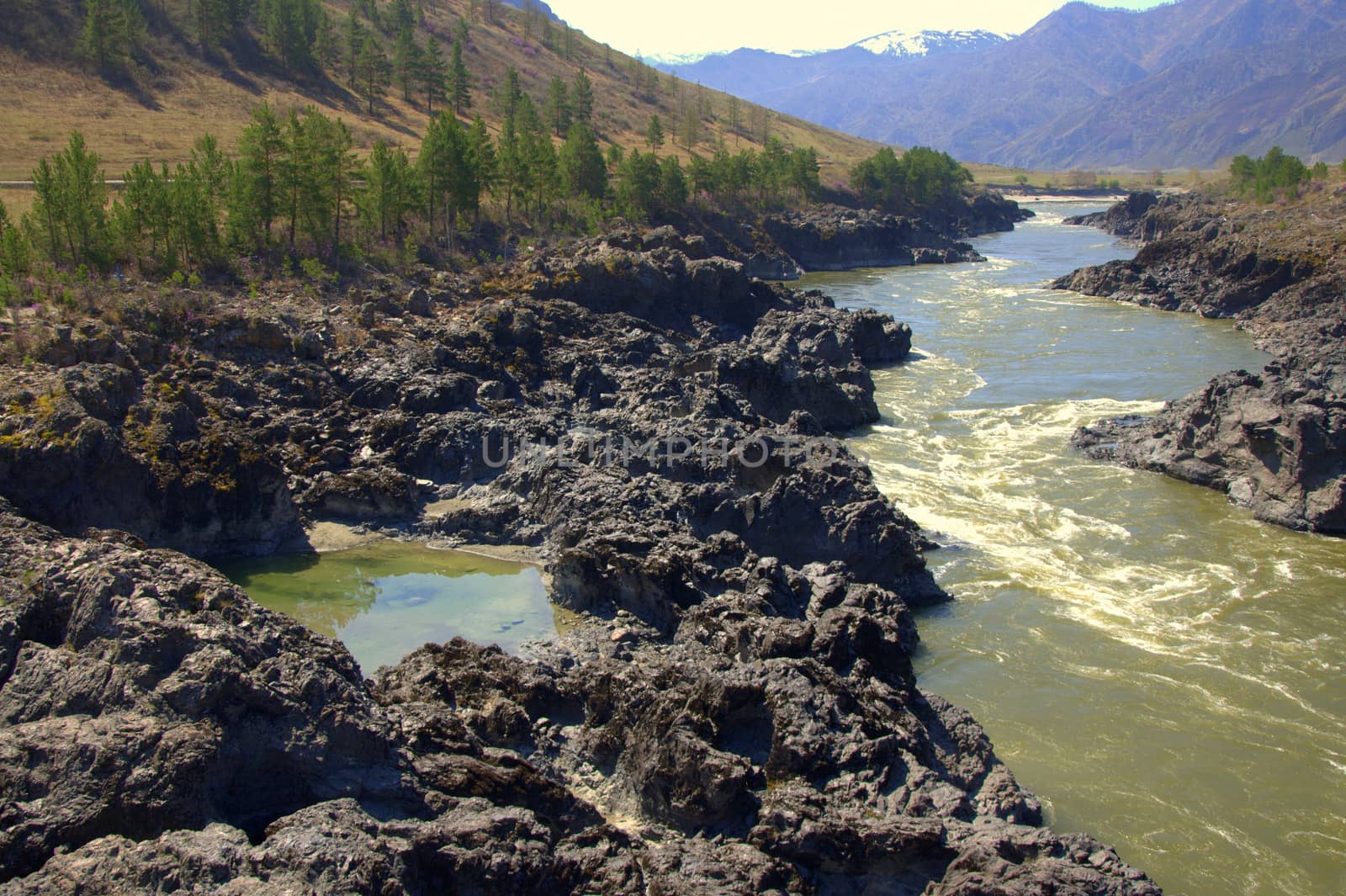 The rocky bank of the mountain river Katun. Altai, Siberia, Russia.