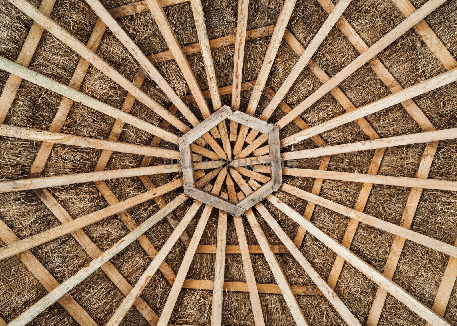 Wood frame and thatched roof by dutourdumonde