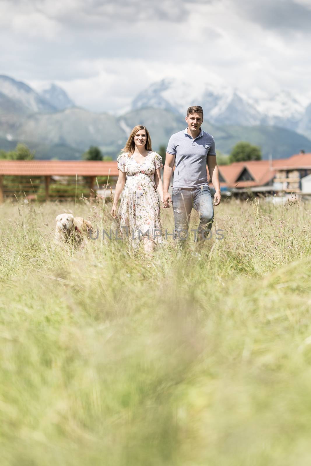 Young pregnant couple holding hands walking it's Golden retriever dog outdoors in meadow. by kasto
