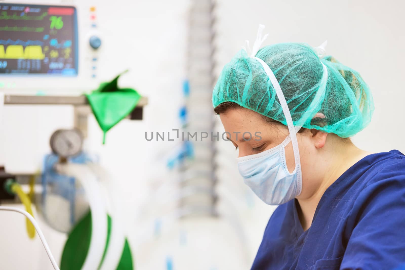 Veterinarian doctor portrait in operating room. Anesthesia monitoring in the background by HERRAEZ