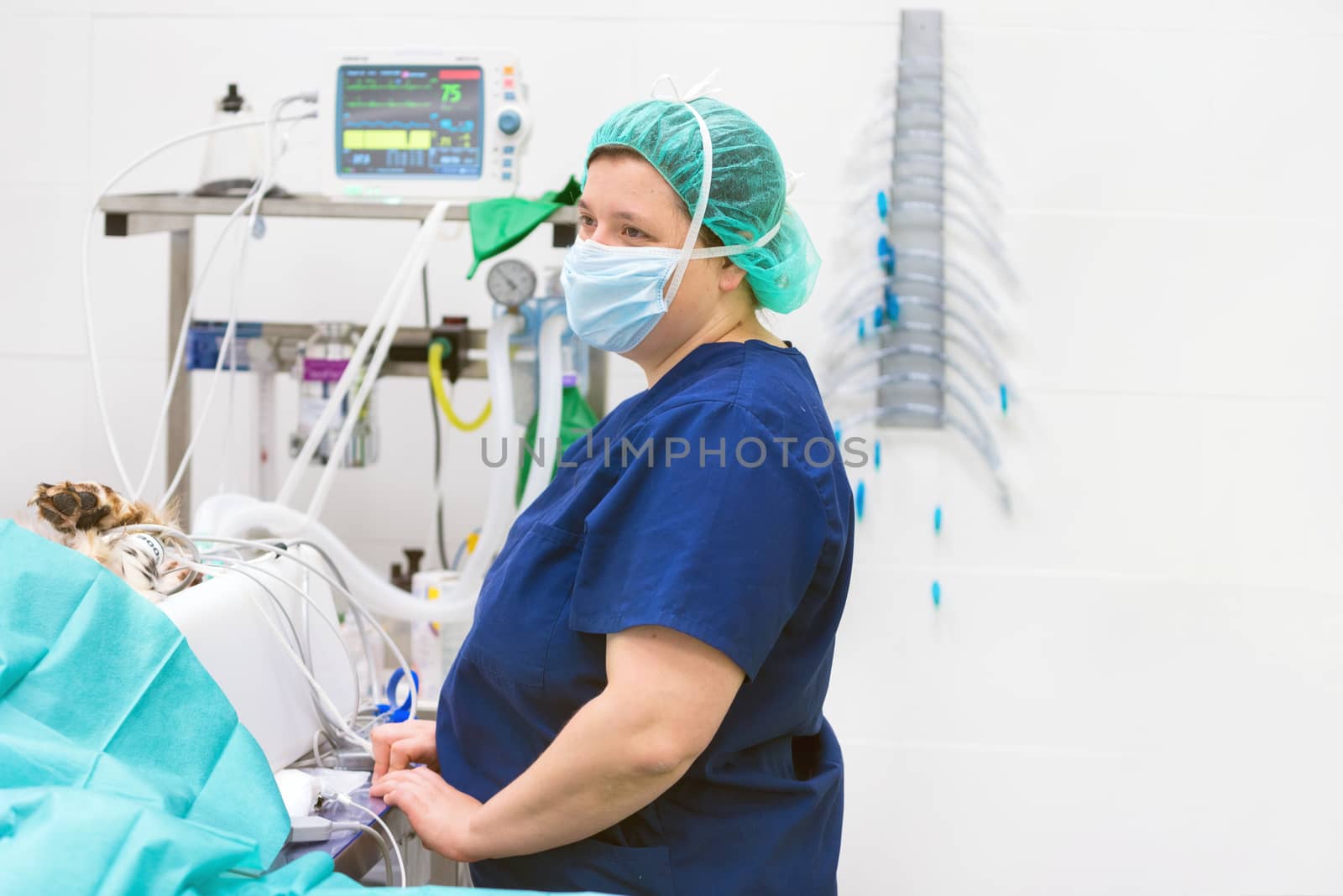 Veterinarian doctor portrait in operating room. Anesthesia monitoring in the background by HERRAEZ