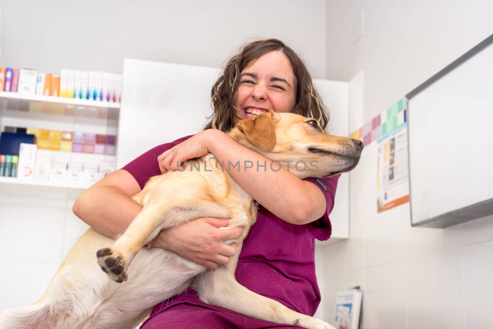 Doctor at the veterinary clinic hugging a beautiful dog by HERRAEZ