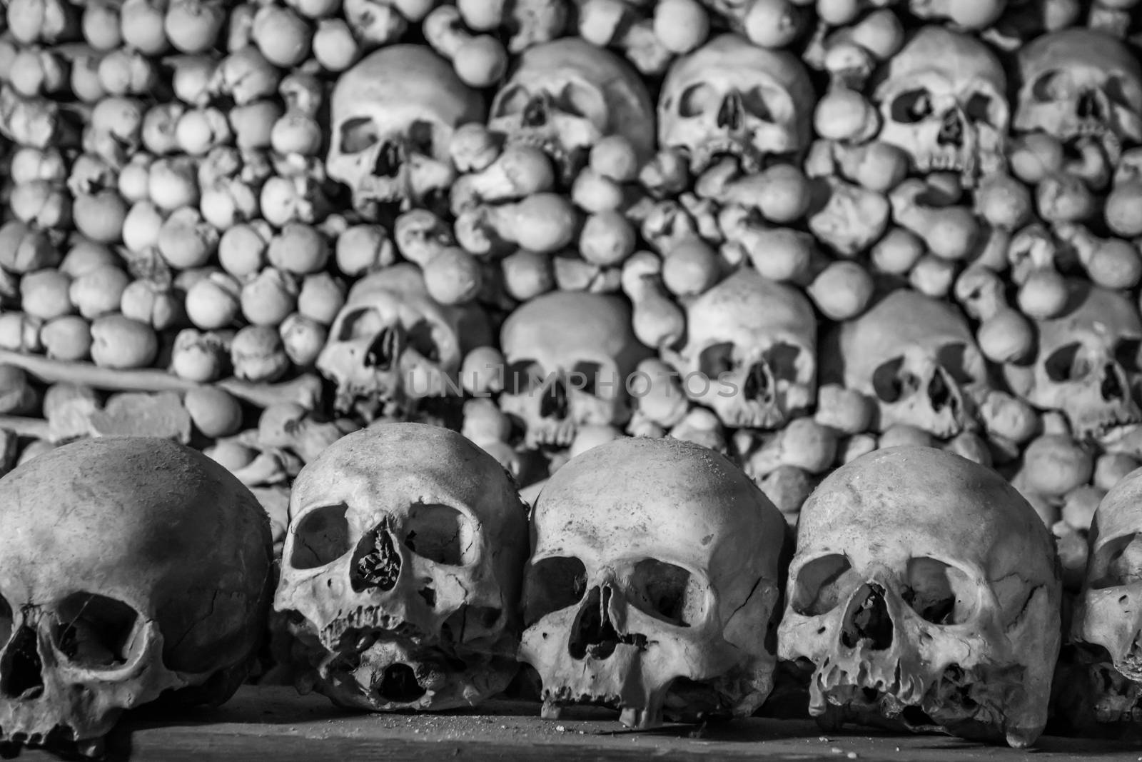 Human skulls and bones Gothic vault mass grave.