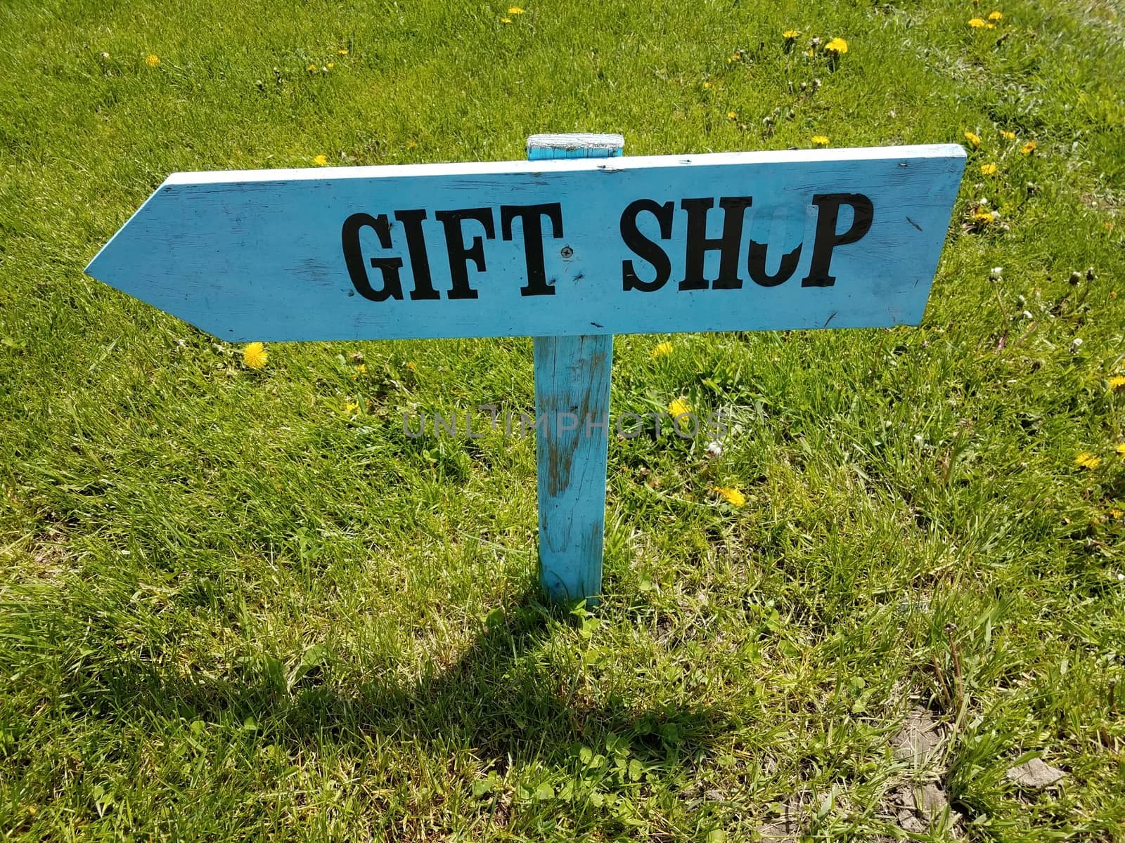 wooden blue gift shop sign with arrow or pointer in green grass or lawn