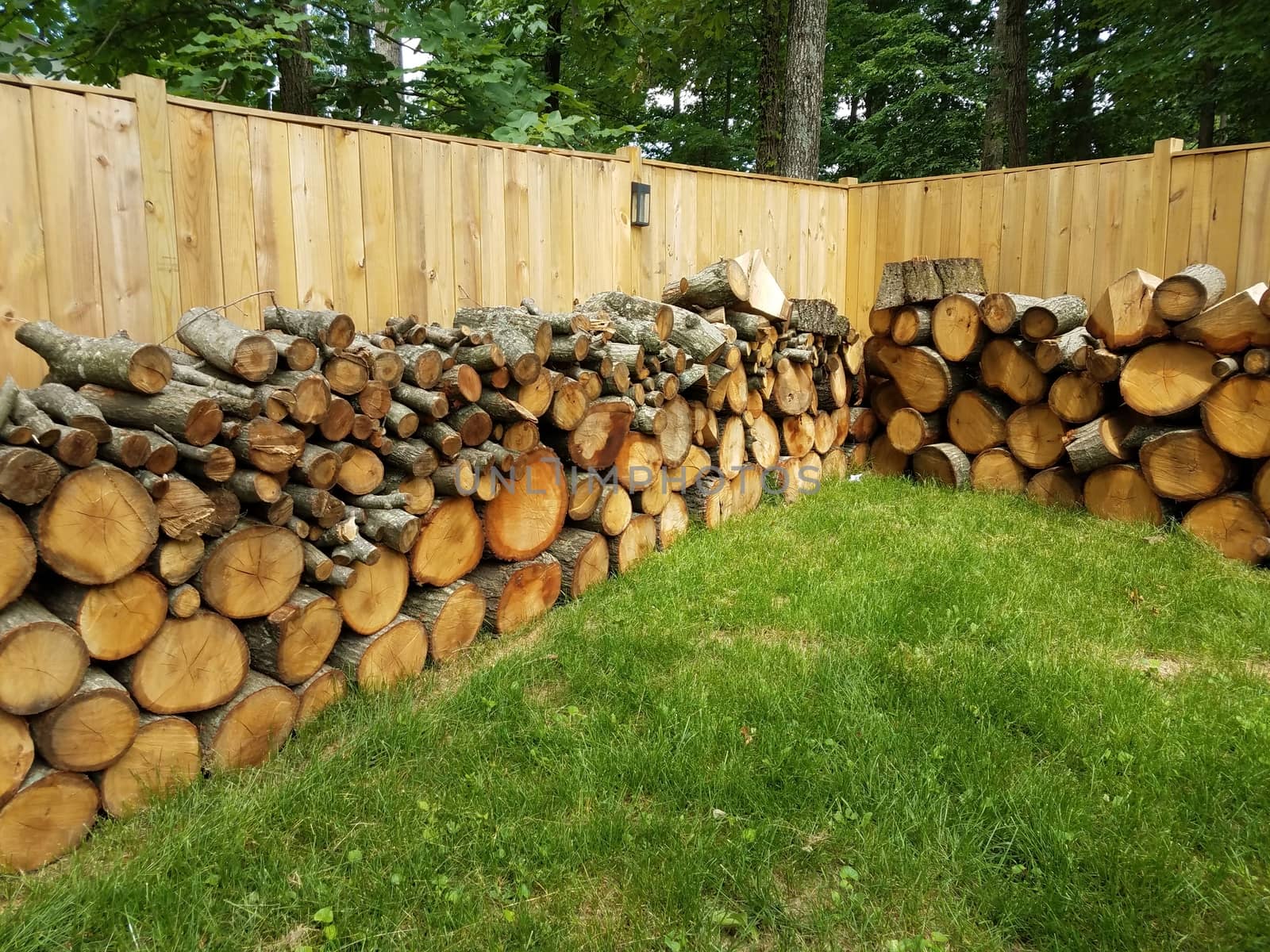 cut firewood stumps stacked along brown wooden fence